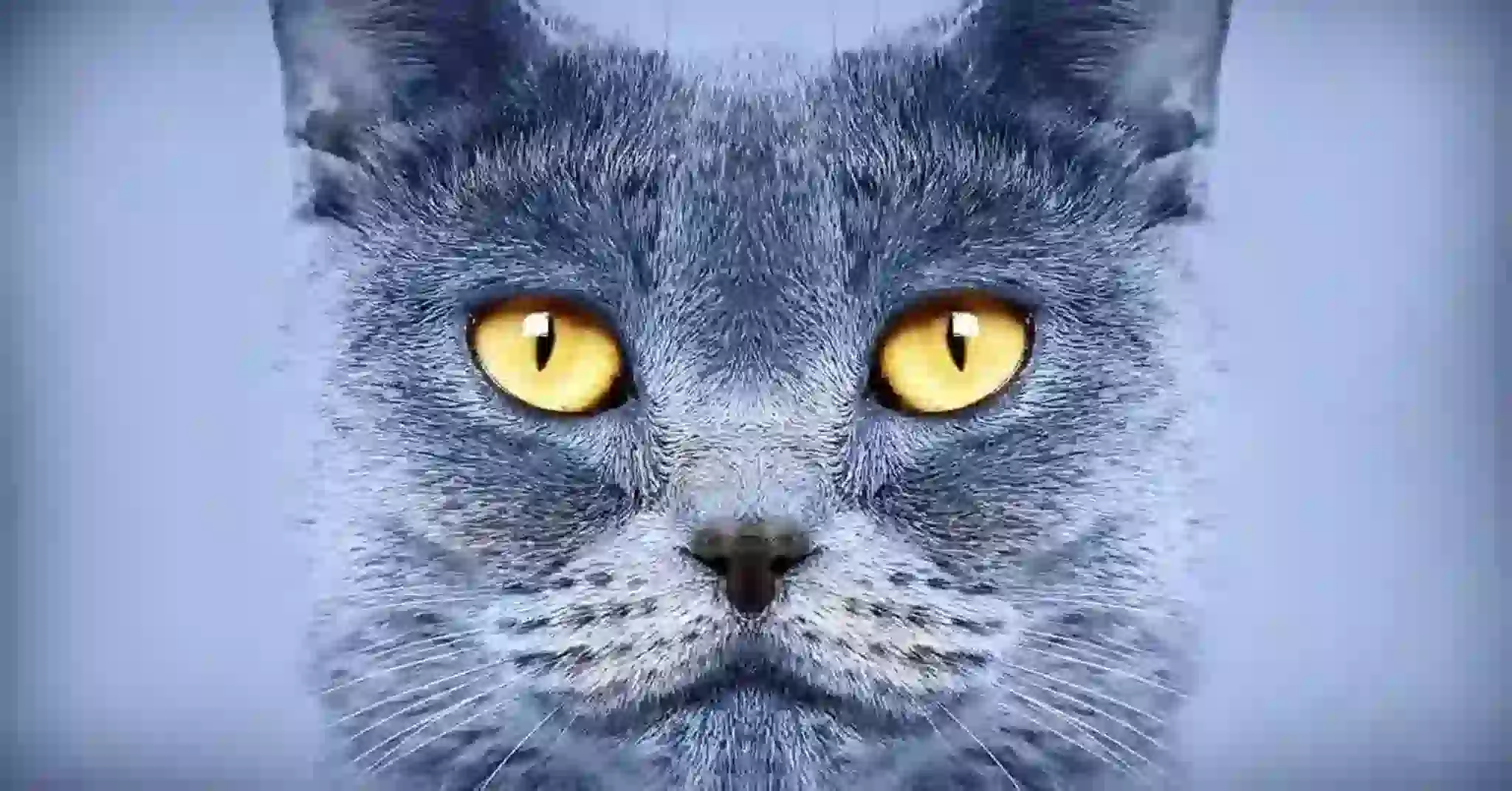 قبل